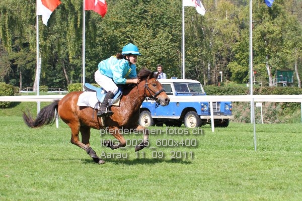 IMG 0025 600x400 prot