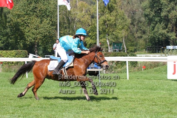 IMG 0026 600x400 prot