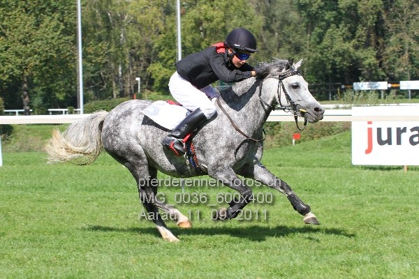 IMG 0036 600x400 prot
