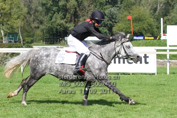 IMG 0037 600x400 prot