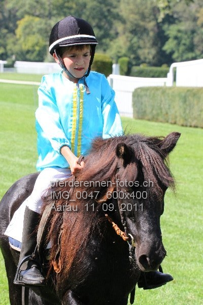 IMG 0047 600x400 prot