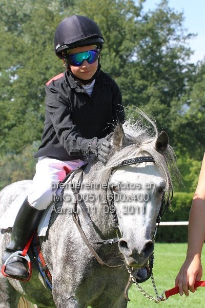 IMG 0051 600x400 prot