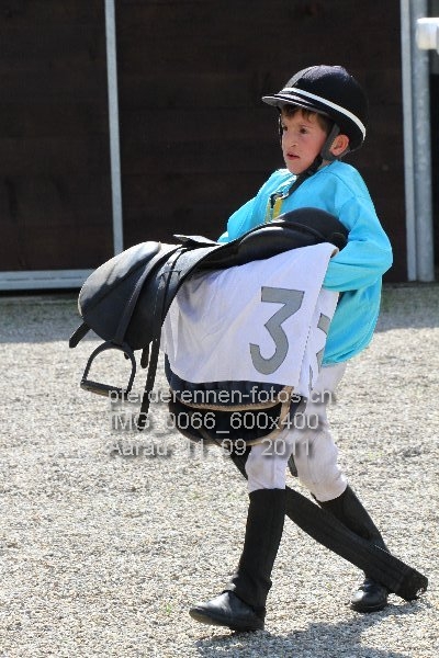 IMG 0066 600x400 prot