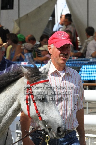 IMG 0074 600x400 prot