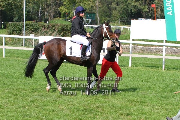 IMG 0086 600x400 prot