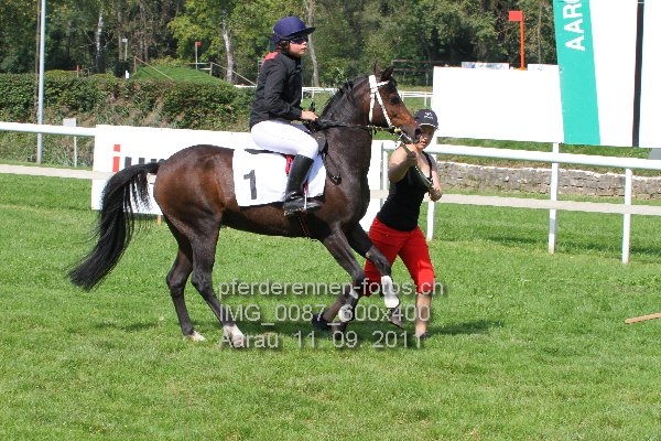 IMG 0087 600x400 prot
