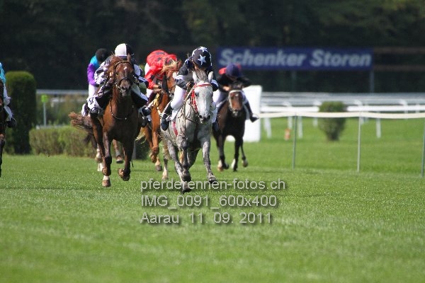 IMG 0091 600x400 prot