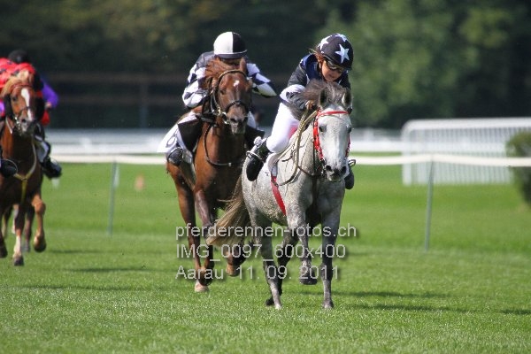 IMG 0097 600x400 prot