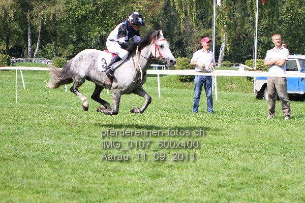 IMG 0107 600x400 prot