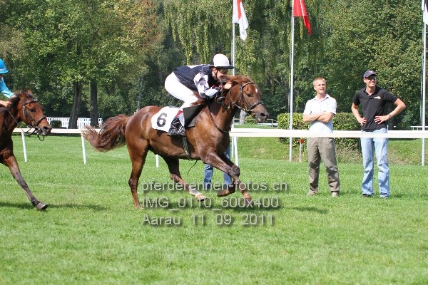 IMG 0110 600x400 prot