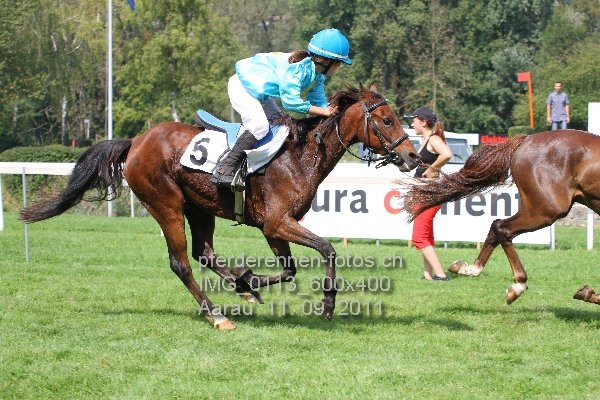 IMG 0113 600x400 prot