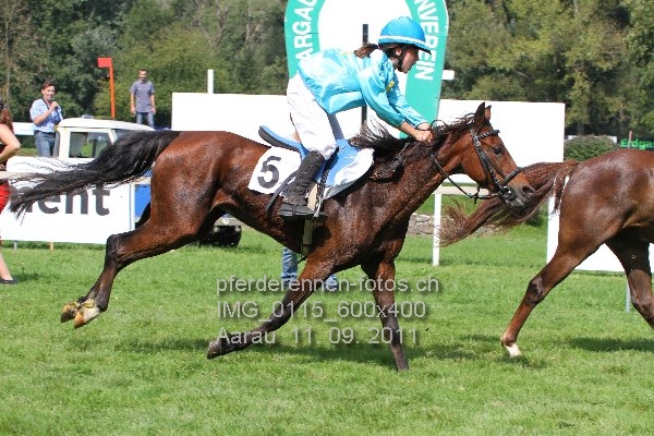 IMG 0115 600x400 prot