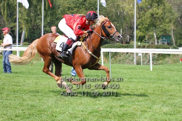 IMG 0116 600x400 prot