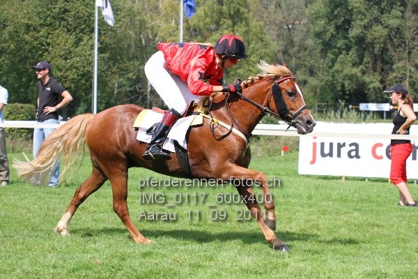 IMG 0117 600x400 prot