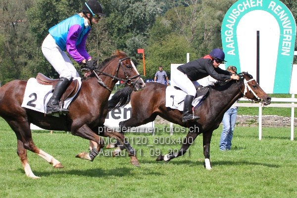 IMG 0120 600x400 prot