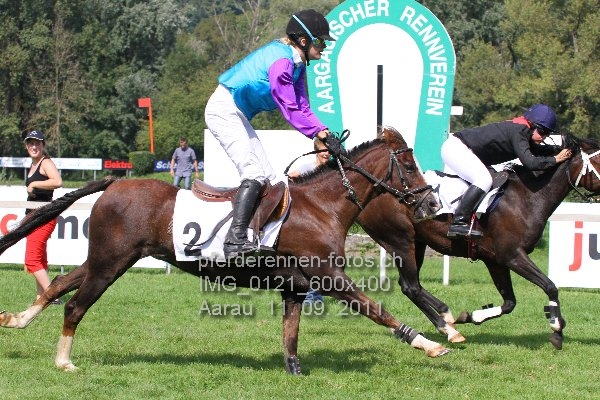 IMG 0121 600x400 prot