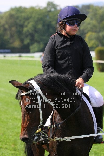 IMG 0145 600x400 prot