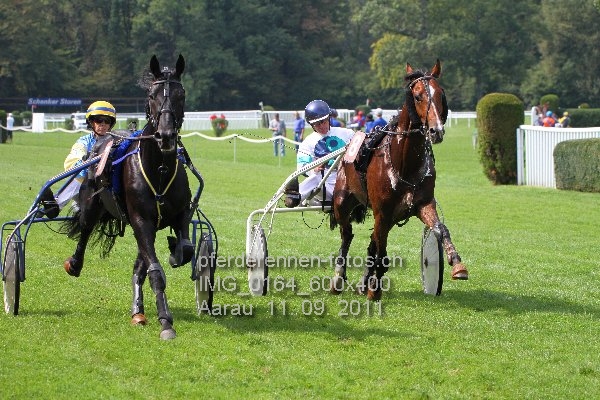 IMG 0164 600x400 prot