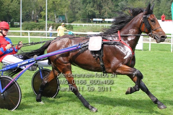 IMG 0166 600x400 prot