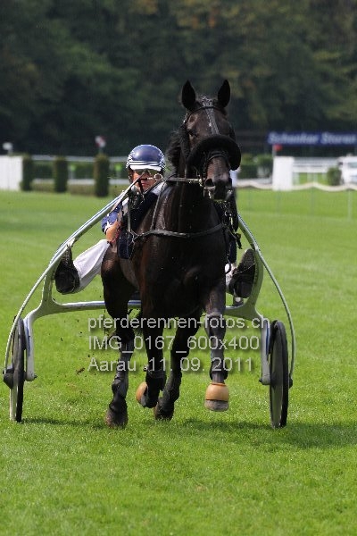 IMG 0167 600x400 prot