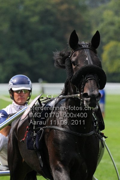 IMG 0170 600x400 prot