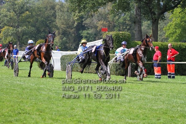 IMG 0171 600x400 prot