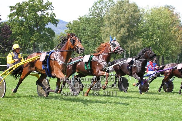 IMG 0178 600x400 prot