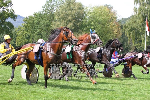 IMG 0179 600x400 prot