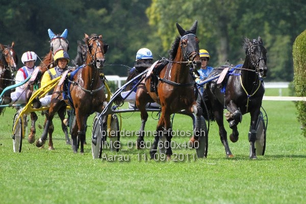 IMG 0180 600x400 prot