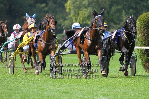 IMG 0181 600x400 prot