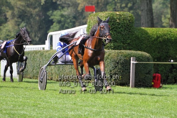 IMG 0190 600x400 prot