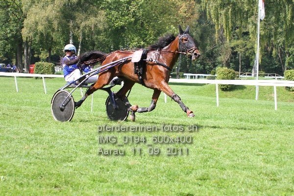 IMG 0194 600x400 prot