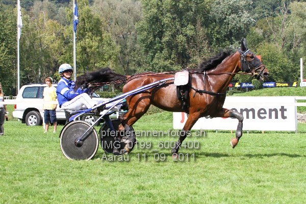 IMG 0199 600x400 prot