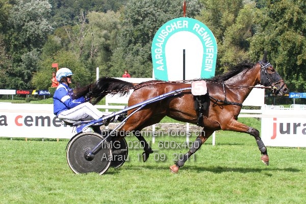 IMG 0201 600x400 prot