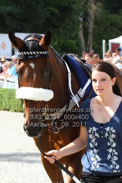 IMG 0234 600x400 prot