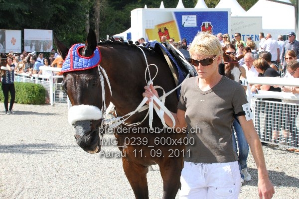 IMG 0239 600x400 prot