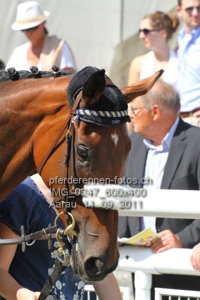 IMG 0247 600x400 prot