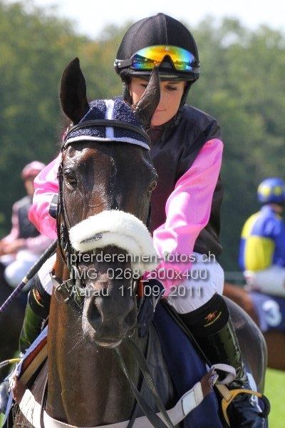 IMG 0268 600x400 prot
