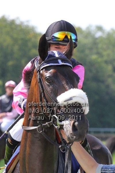 IMG 0271 600x400 prot