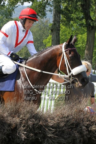 IMG 0275 600x400 prot