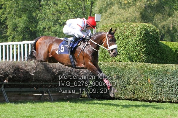 IMG 0278 600x400 prot