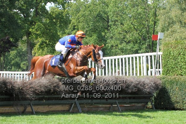 IMG 0288 600x400 prot