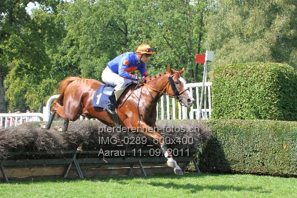 IMG 0289 600x400 prot