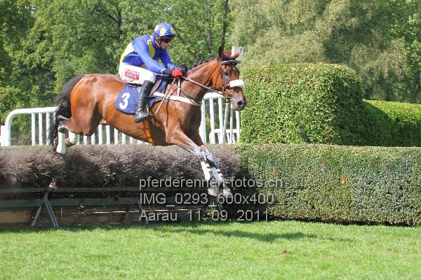 IMG 0293 600x400 prot