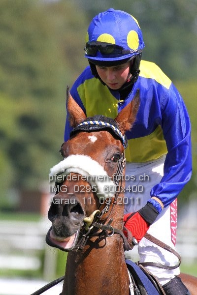 IMG 0295 600x400 prot