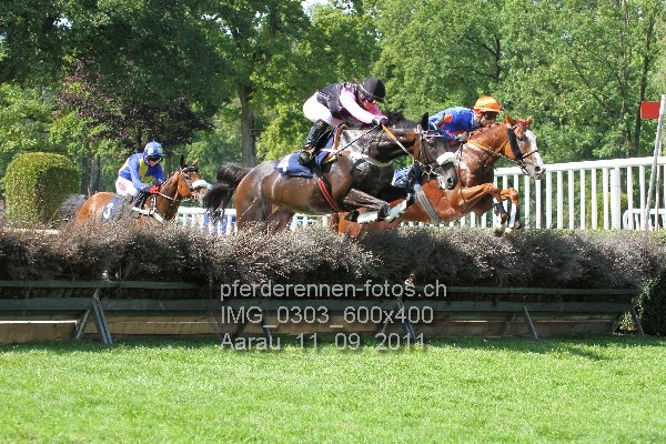 IMG 0303 600x400 prot