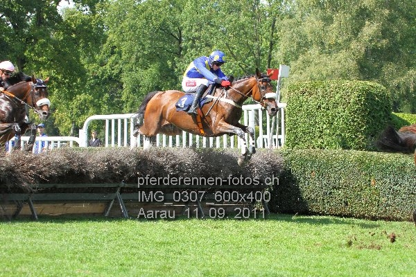 IMG 0307 600x400 prot