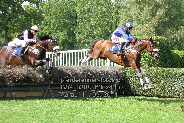 IMG 0308 600x400 prot