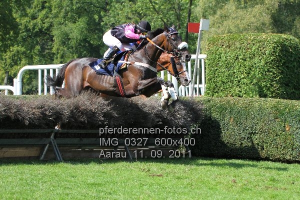 IMG 0327 600x400 prot