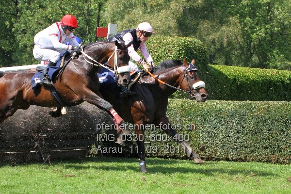 IMG 0330 600x400 prot